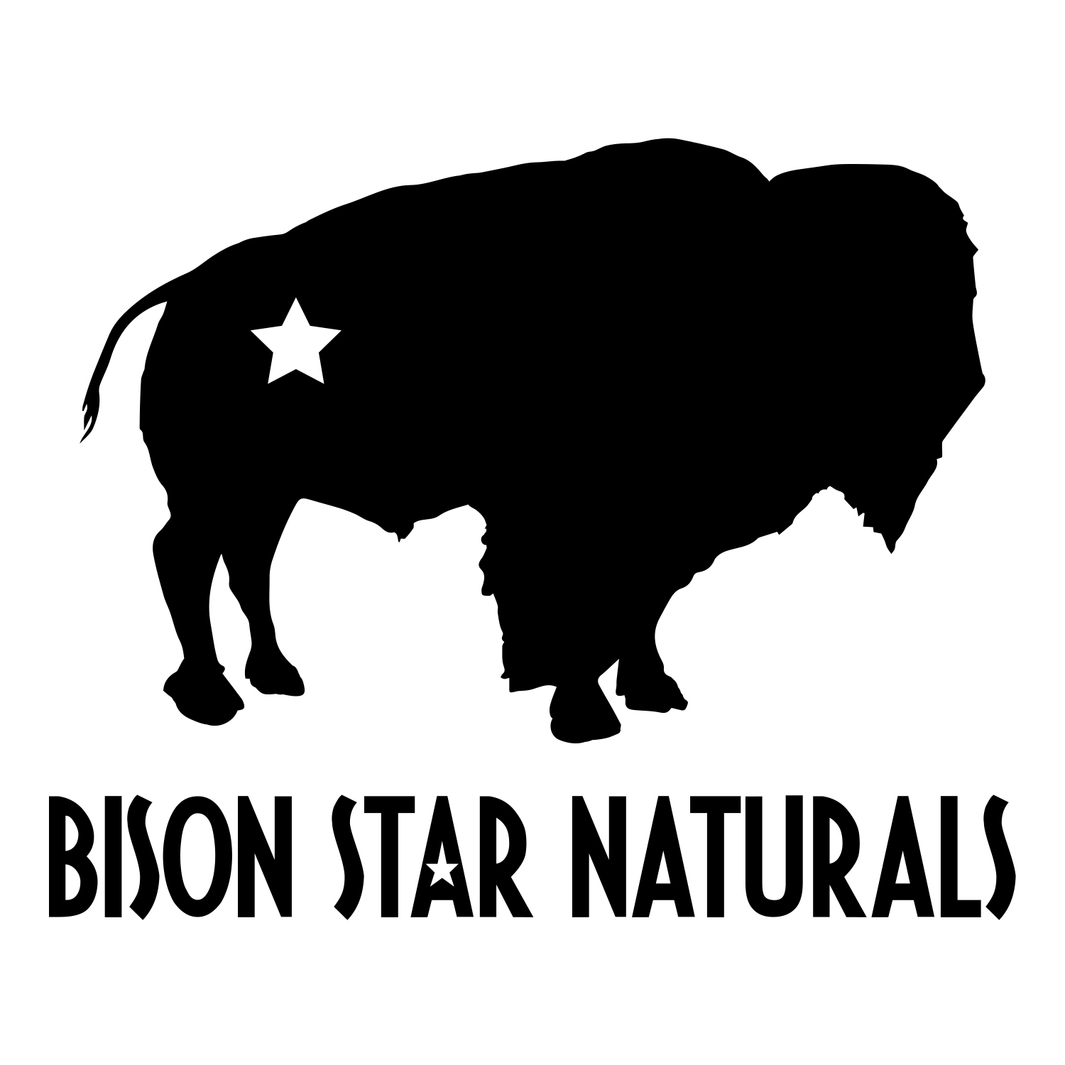 Bison Star logo